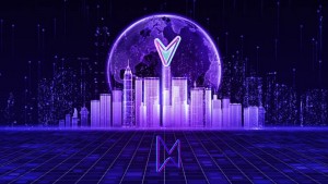 Metavorz x Vorz