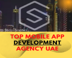 Silicon Graphics Ae App Development