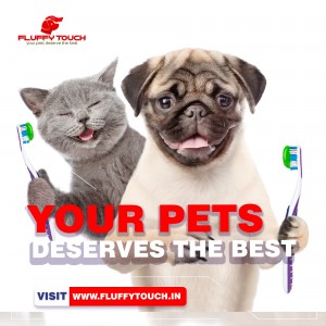 FluffyTouch your pets deserves the best