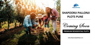 Shapoorji Pallonji Plots Pune