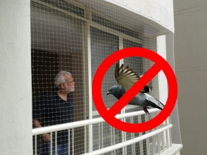 pigeon net