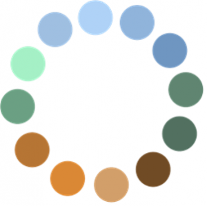 Respectful Development Initiative Ltd Announces Appointment of Chief Financial Officer