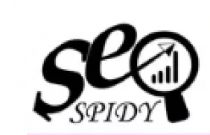 Earn Profitable Business with SEO Friendly Website Designing at Seospidy Web Solution
