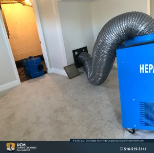 MoldRemediationSolutionServices