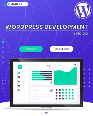 wordpress development