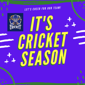 CRICKET TOKEN - Best Sport Token Of 2022 With Shared Tokenomics.