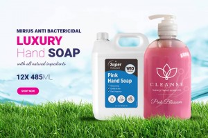 Regent Clean Hand Sanitizer