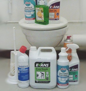 Regent Toilet Cleaner