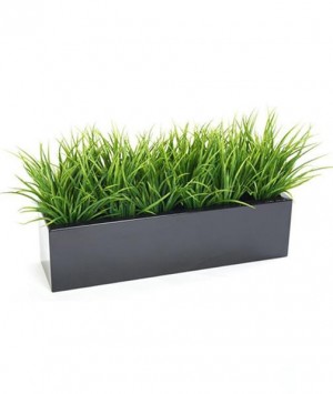 Fiber glass Planter