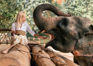 Pinnawala Elephant Orphanage in Sri Lanka