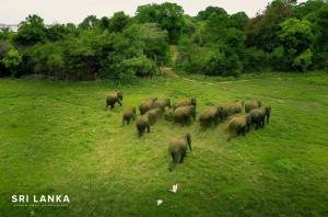 Udawalawe National Park