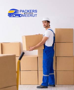 packing moving meerut
