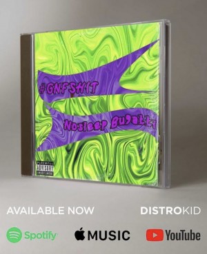 #GNFSHIT cover art