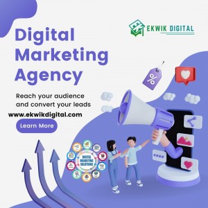 Affordable Best ORM Services For Small Medium Businesses by Ekwik Digital