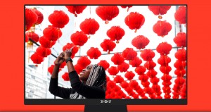 XGODY GM003 massage gun