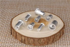 BLIND RIVET NUT