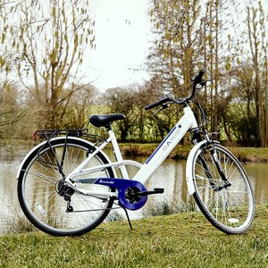 electric hybrid bike