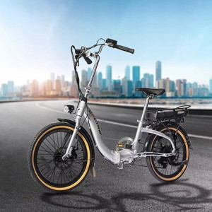 folding electric bike