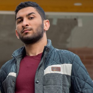 Mohammad Mirshahi Musical Artist and Actor