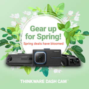 IMAGE US Spring Break