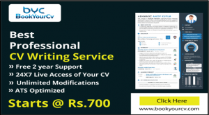 How Hiring Professional Resume Writer Will Help