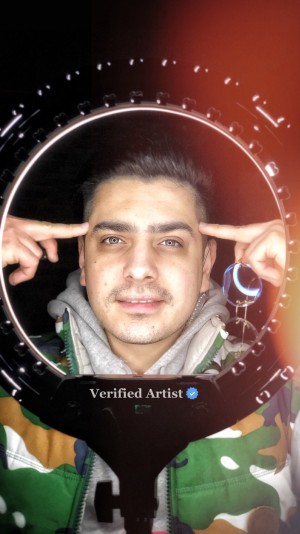 Verified Artist