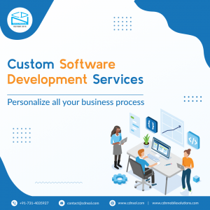 Custom Software Development Services