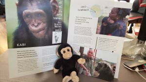 Jane Goodall recipient, Adopt-a-Primate with Cheeky Monkey