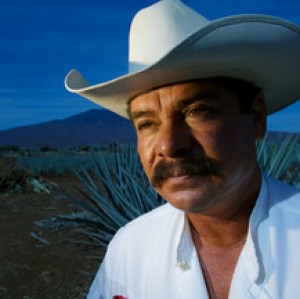 Nautilus Launches “GRINGOS” Tequila Cough Drops That Provides A Unique Cold Fighting Experience Of Tequila And Menthol 