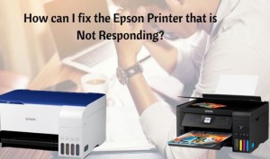 Epson Printer is Not Responding