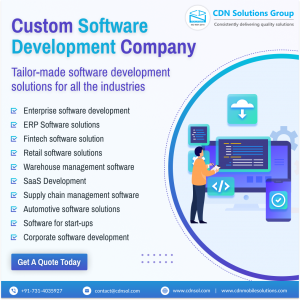 custom software development
