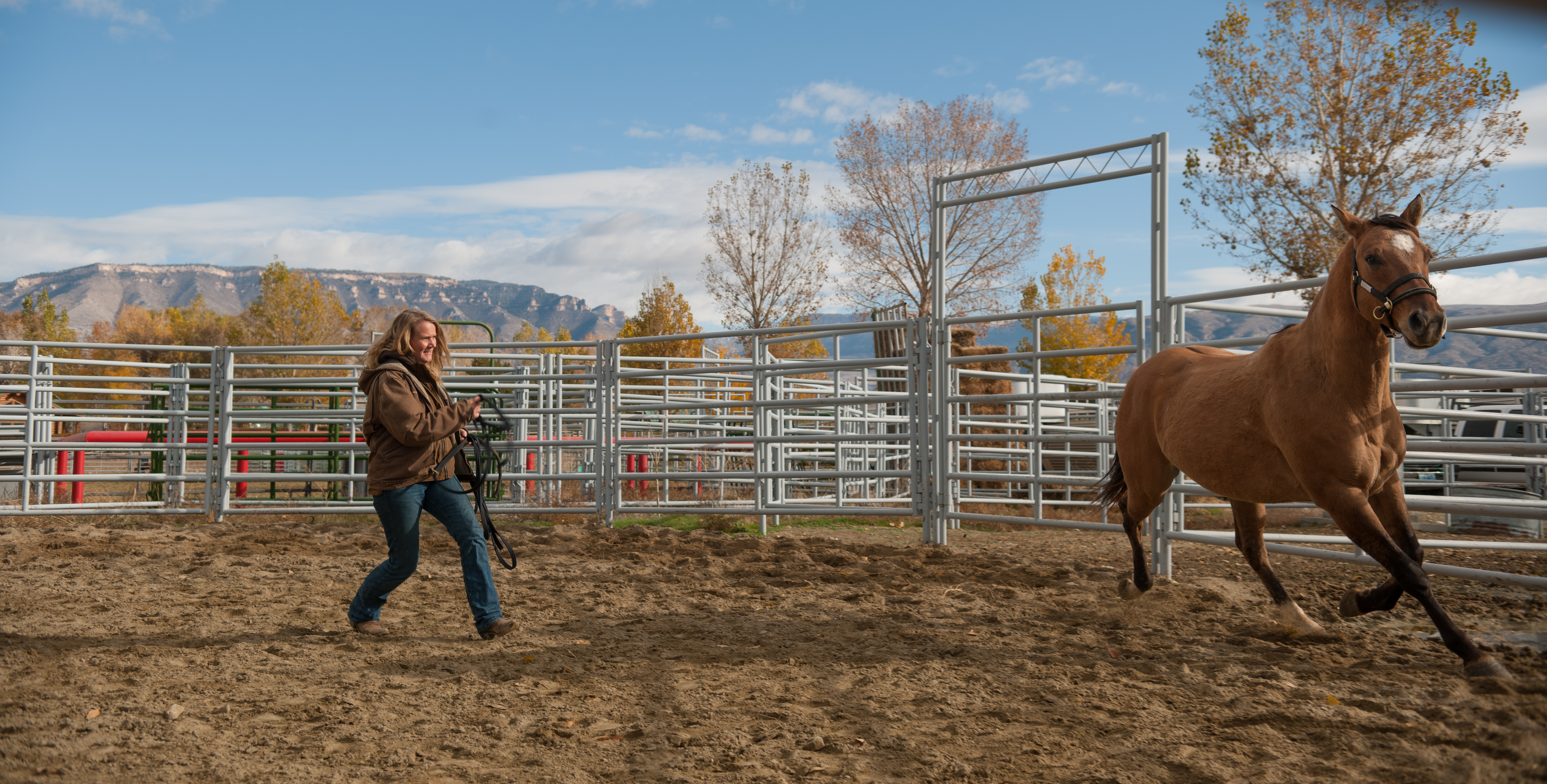 Anna works with a horse during a 2018 event Anna works with a horse during a 2018 event