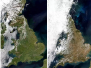 artificial turf cost