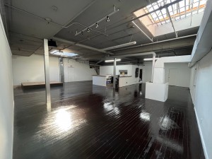 Art Apple Headquarters Grand Opening in Brooklyn New York on March 31st, 2022 