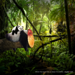 When the wood dies, so does the wildlife.