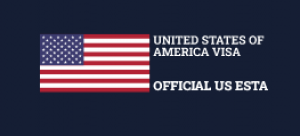 Privately-Owned Website US VISA ONLINE Launching Easy Visa Application Procedure