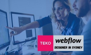 Why You Should Hire TEKO As Your Webflow Agency