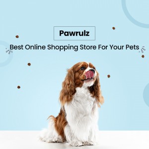 online pet shopping stores in India