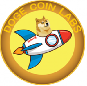 Dogecoin Labs: The Most Promising And Rewarding Hyper-Deflationary Coin In The Market 