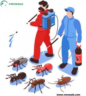 Pest Control Service Near Me