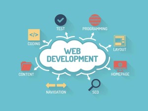 Best Web Development Company in India