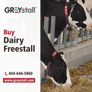 greystall ads