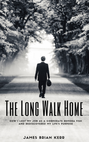 Long Walk Home Cover Lo Res