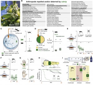 Forget DEET, Boomerang Bug Juice May Be The Answer When It Comes To Buzzing Off Mosquitoes