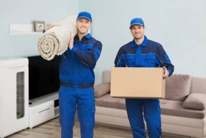 book a mover removalists