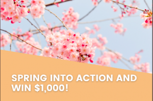 Ship.com April Promotion