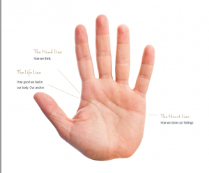 The lines unearth our deepest urges and show how we think, act and express ourselves