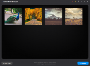 Photo Enlarger Batch Output