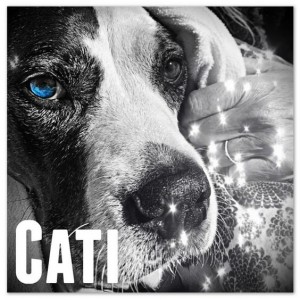 Song ‘Cati’ by Music Band Ho Jo Fro