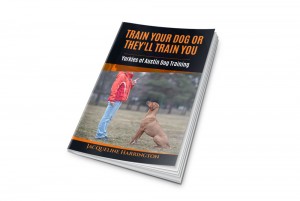 How to Deliver Whelp Book cover